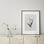 Botanical Tulip 'Spring Blossom' Art Print, thumbnail 1 of 2
