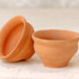 Tea Cup Terracotta Plant Pot Set, thumbnail 2 of 3