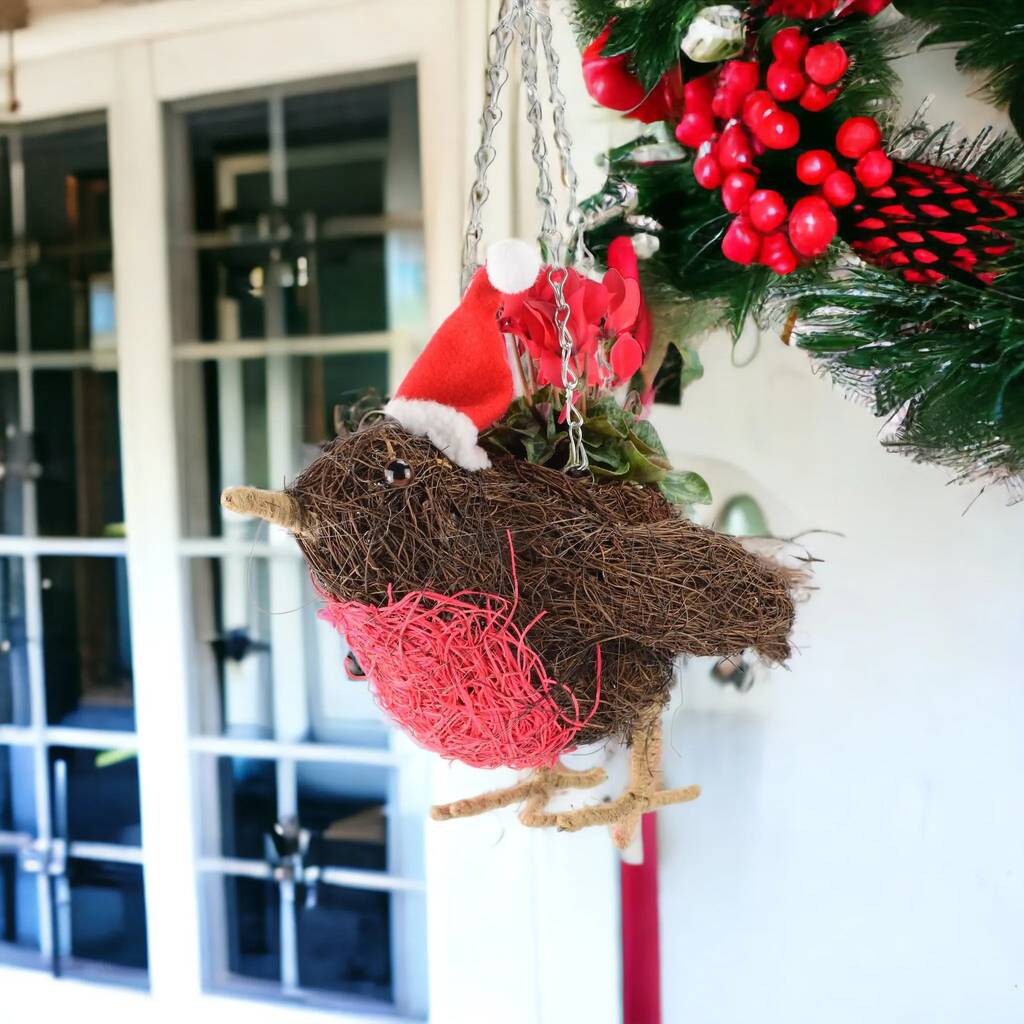 Robin Hanging Basket With Red Cyclamen – Christmas Gift, 1 of 2