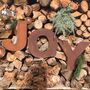 Joy Christmas Decorations For The Firepalce Mantle Wall, thumbnail 1 of 3