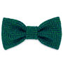 Frankie Goes Turquoise Dog Bow Tie, thumbnail 1 of 5