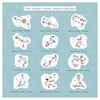 Zodiac Floral Star Constellation Coaster, 2 of 2