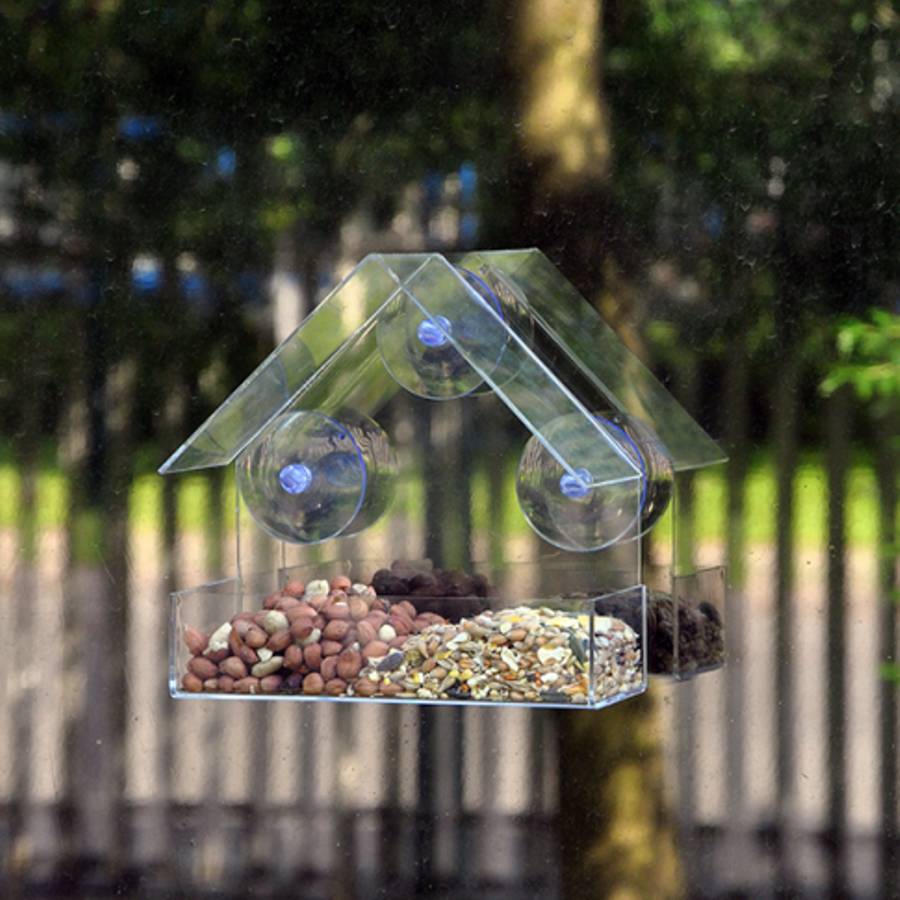 clear window bird feeder by garden selections