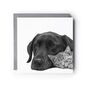 Best Friends – Labrador And Cat Cuddles Hand Drawn Greeting Card, thumbnail 2 of 6