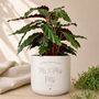 Personalised 9th Pottery Anniversary Gift | Add Plant, thumbnail 4 of 6