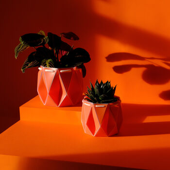 Three Origami Self Watering Eco Plant Pots, 11 of 12