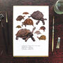 Creep Of Tortoises Art Print, thumbnail 1 of 7