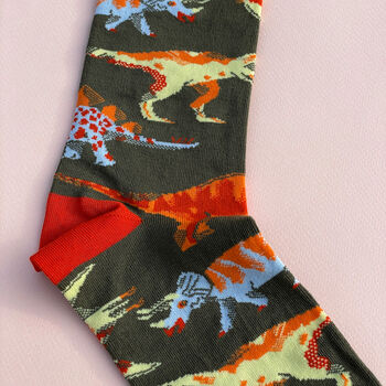 Dinosaur Socks, 2 of 5