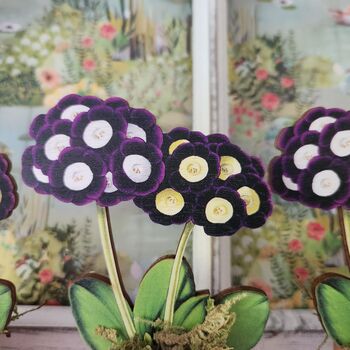 Primula Auricula Wooden Flower Decoration Gift, 2 of 5