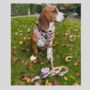 Patchwork/Plaid Dog Harness, thumbnail 4 of 5