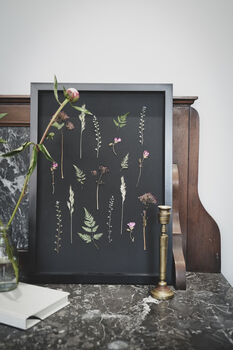 A3 Framed Pressed Flower Art – Shadow Garden On Black, 5 of 8