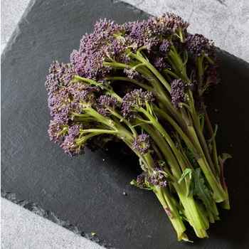 Purple Sprouting Broccoli 12 X Plug Plant Pack, 3 of 5