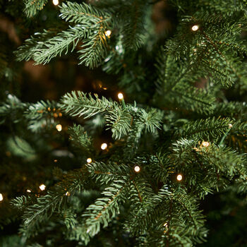 Brookleigh Three Foot Pre Lit Tree, 3 of 3
