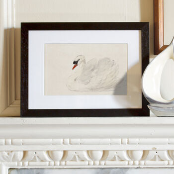 Swan Painting Print, Framed Or Unframed Circa 1700s, 7 of 11