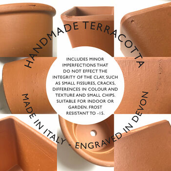 Engraved Butterfly Plant Pot, 7 of 8