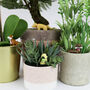 Adorable Dogs Plant Pot Markers, thumbnail 1 of 4