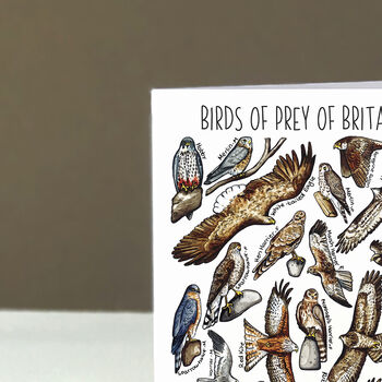Birds Of Prey Of Britain Greeting Card, 4 of 7