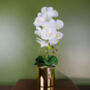 White Artificial Orchid Large Gold 52cm Real Touch, thumbnail 1 of 3