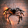 Large Light Up LED Plush Spider Halloween Decoration, thumbnail 3 of 3