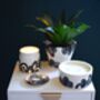 Hand Crafted Soy Candles, thumbnail 9 of 12