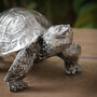 Silver Tortoise Ornament, thumbnail 2 of 4