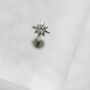 Star Crystal Flat Back Titanium Piercing, thumbnail 1 of 4