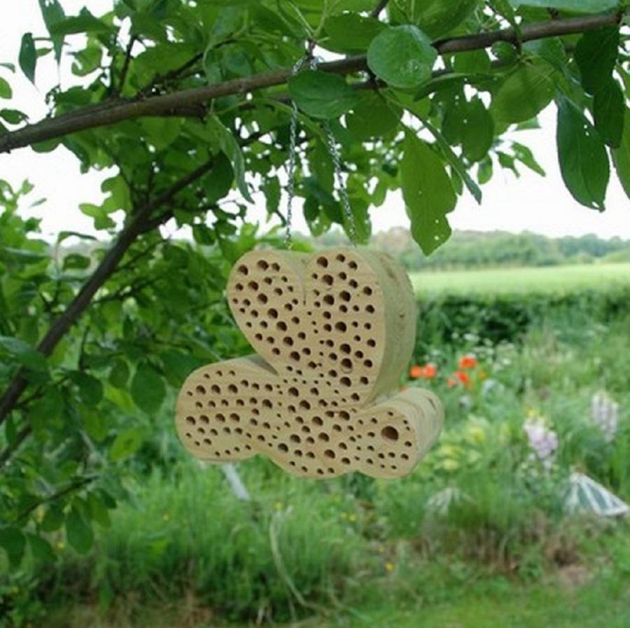 ash wood bee house by garden selections
