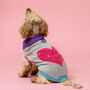 Heart Knitted Dog Jumper, thumbnail 2 of 4