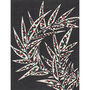 Japanese Botanic Art Prints, thumbnail 7 of 12