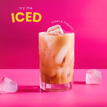 Monsoon Hills Masala Chai Gift Tube, 5 of 8