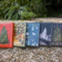 Christmas Truffle Advent Calendar Salcombe Yawl, thumbnail 4 of 4