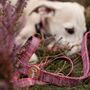 Check Her Out Dog Lead, thumbnail 4 of 5
