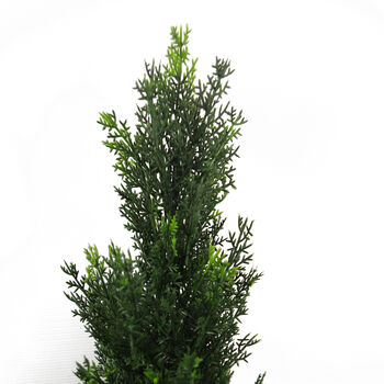 90cm Uv Protected Artificial Cedar Cypress Topiary, 3 of 3