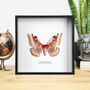 Madagascar Bullseye Handcrafted Frame, thumbnail 1 of 3