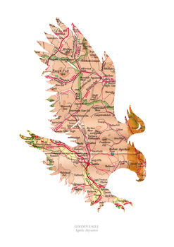 Personalised Golden Eagle Map Print, 3 of 4