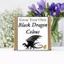 Gardening Gift. Grow Your Own Black Dragon Coleus Seeds, thumbnail 2 of 4