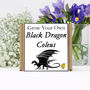 Gardening Gift. Grow Your Own Black Dragon Coleus Seeds, thumbnail 2 of 5