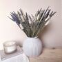 Natural Dried Lavender Arrangement With Vase, thumbnail 1 of 3