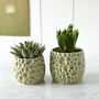 Astro Ceramic Plant Pot, thumbnail 3 of 3