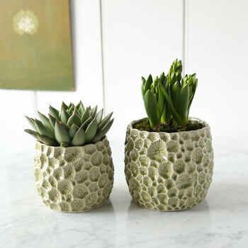 Astro Ceramic Plant Pot, 3 of 3