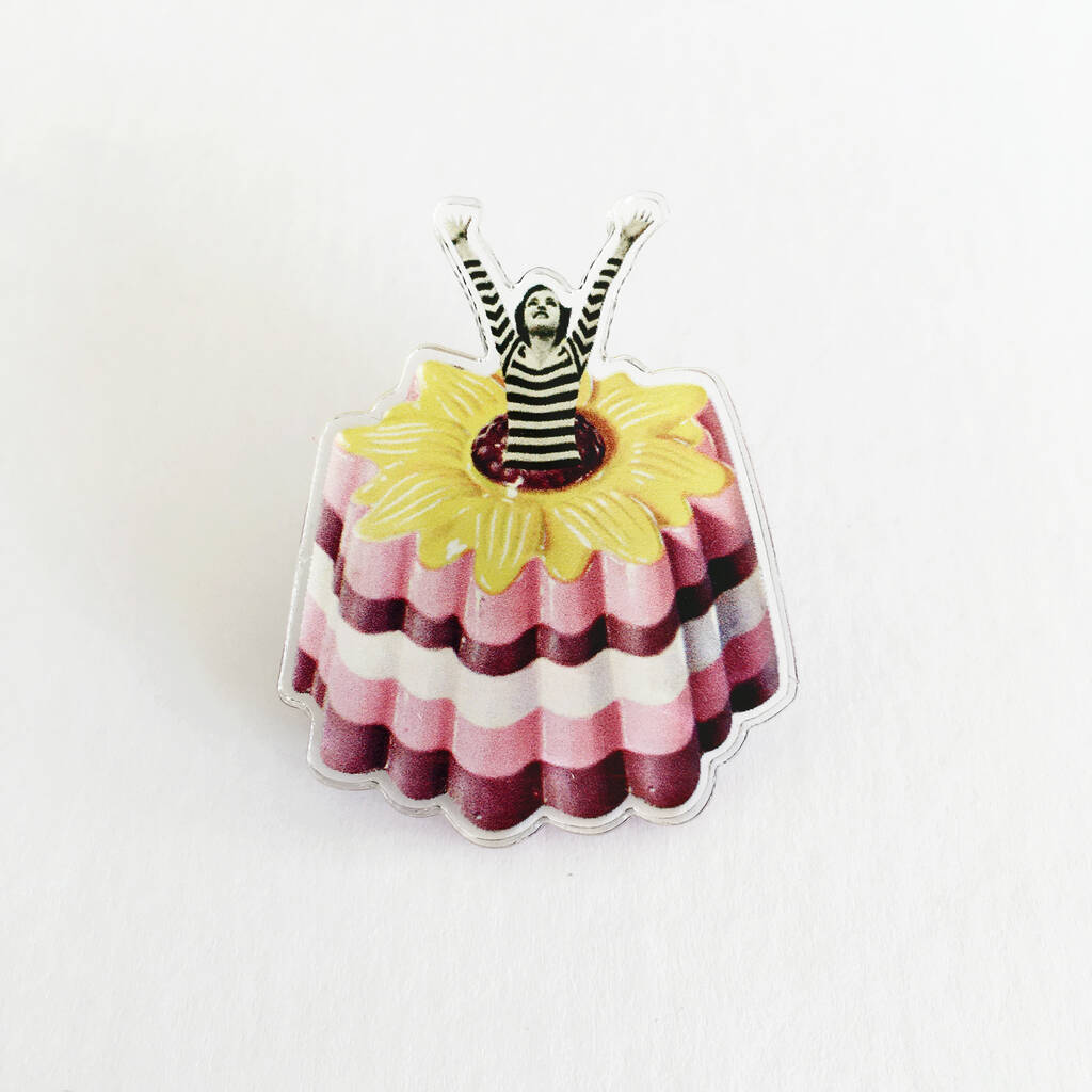 Blancmange Acrylic Brooch By Cassia Beck Art And Photography