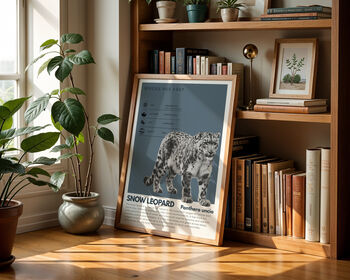 Snow Leopard | Big Cat Art Print, 3 of 8