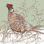 'Pheasant' Print, thumbnail 3 of 3