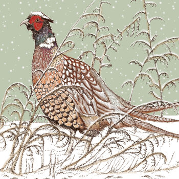 'Pheasant' Print, 3 of 3