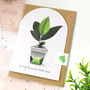 Set Of Six Houseplant Greeting Cards, thumbnail 7 of 12