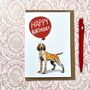 Bracco Italiano Birthday Card, thumbnail 2 of 3