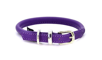 Luxury Soft Rolled Leather Dog Collar, 8 of 12