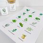 Sheet Of 15 Illustrated Colour Herb Labels, thumbnail 1 of 8