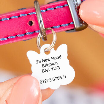 Personalised Cat Face Paw Print Cat ID Tag, 2 of 12