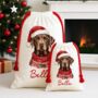 Personalised Chocolate Labrador Santa Sack, thumbnail 2 of 3